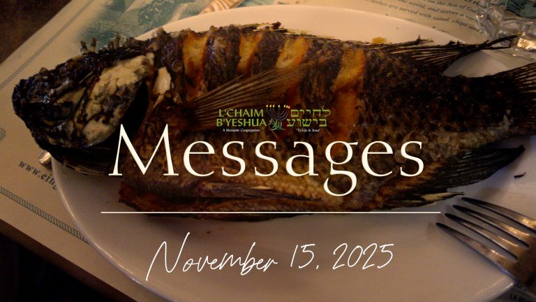 Read more about the article 2026.1.17