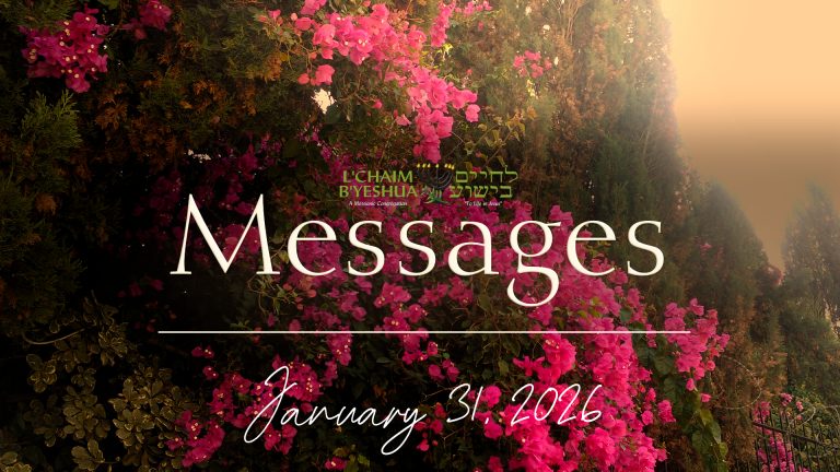 Read more about the article 2026.1.31