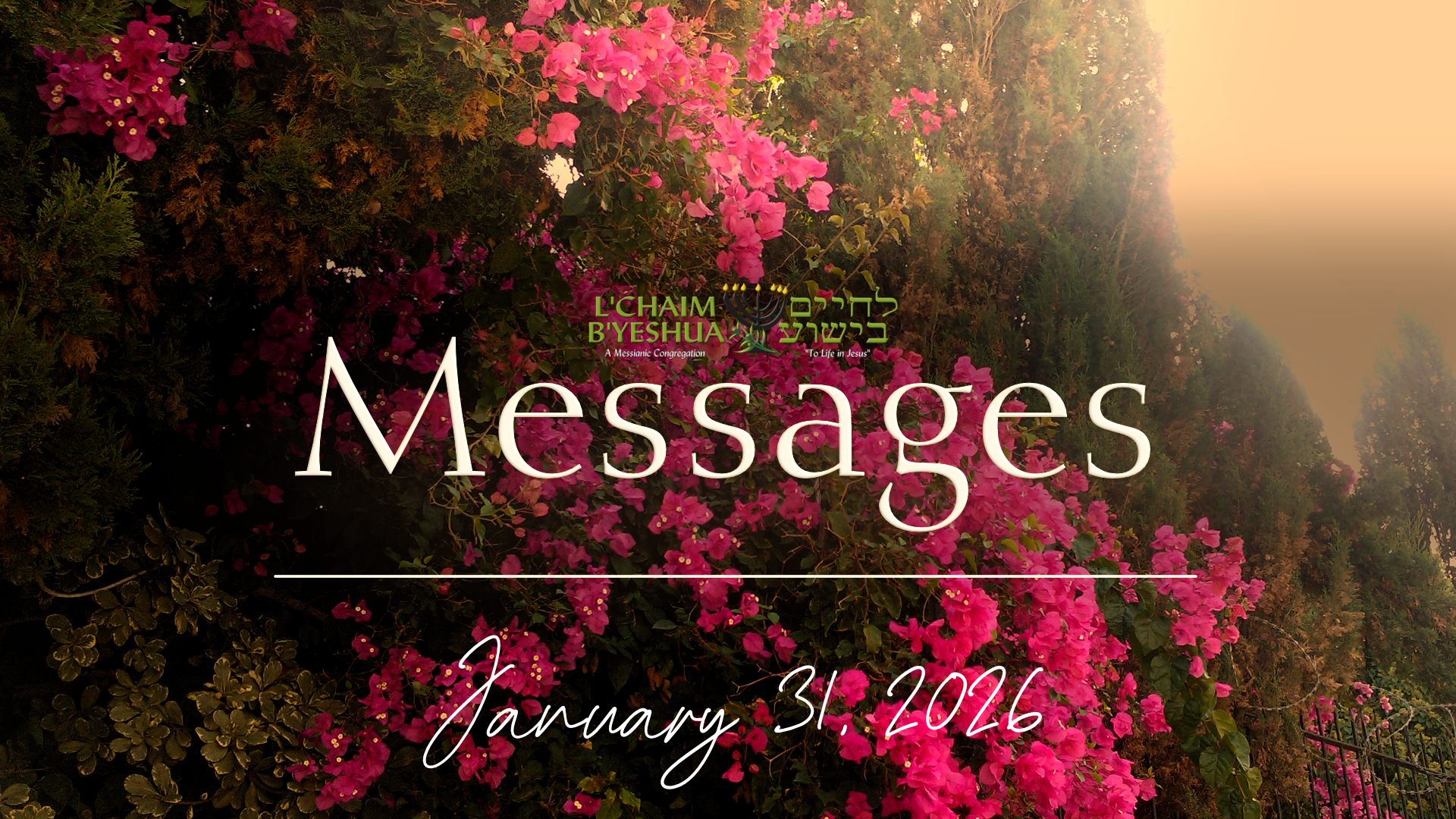 Read more about the article 2026.1.31