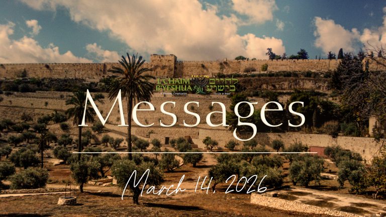 Read more about the article 2026.3.14