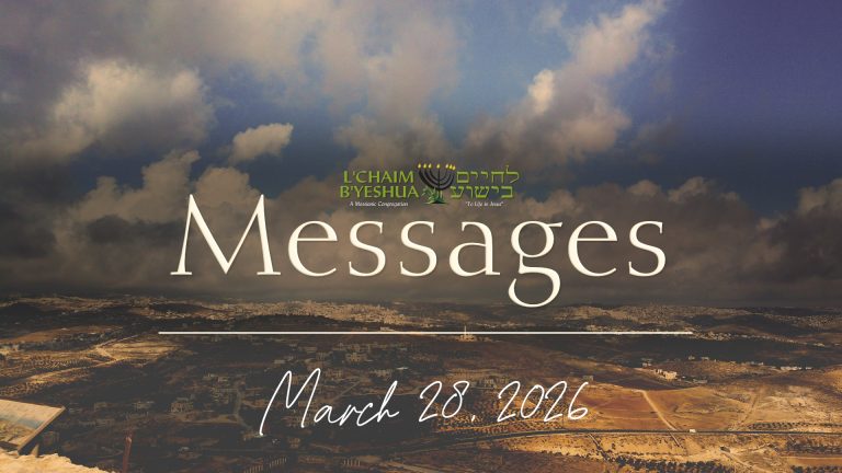 Read more about the article 2026.3.28