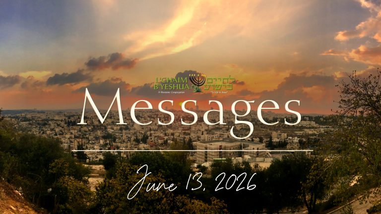 Read more about the article 2026.6.13